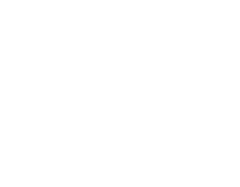 Лого seotigr